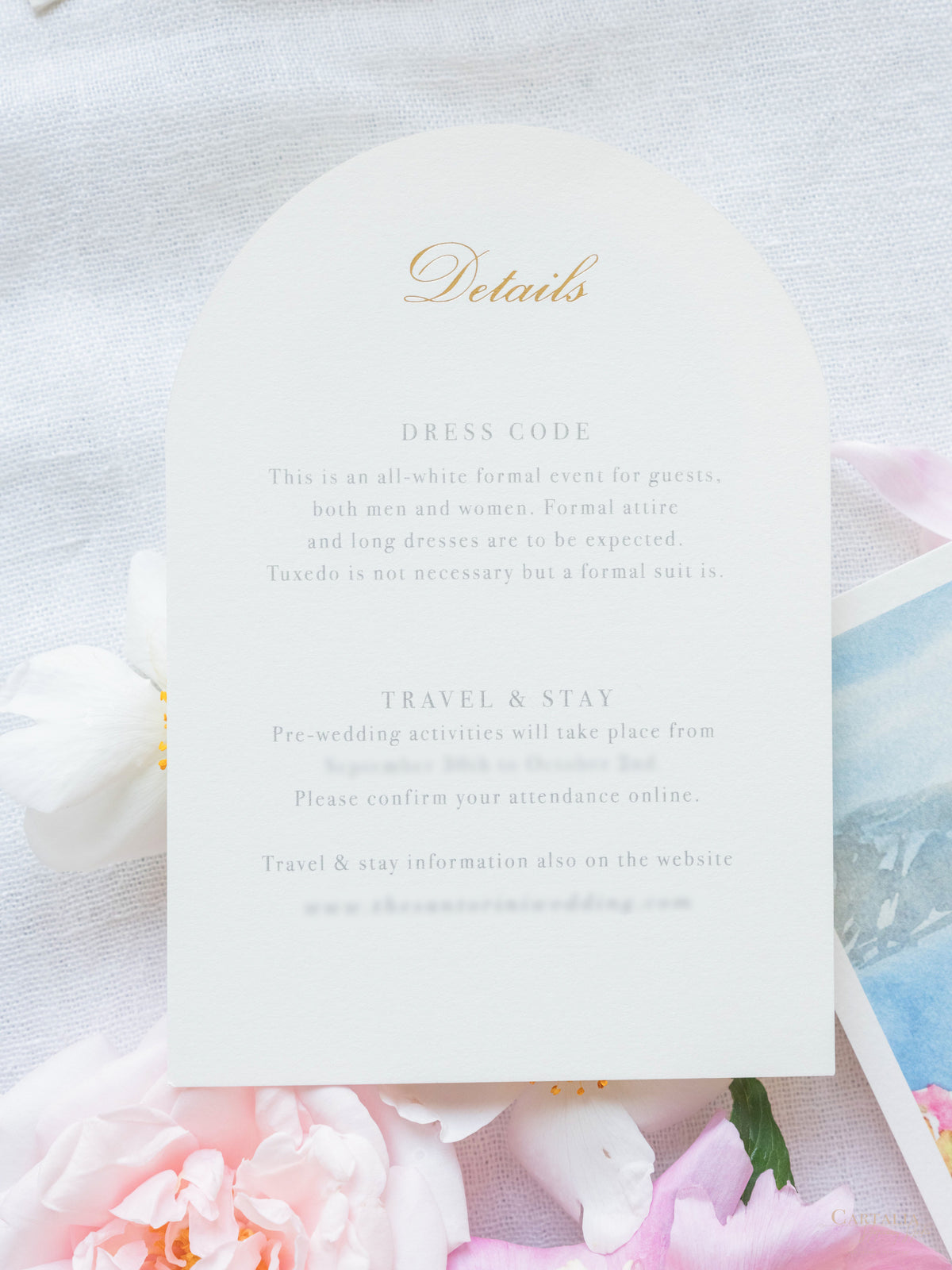 Suite de invitación de boda con bolsillo de acuarela Santorini | Comisión personalizada de frutas y hortalizas