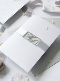 Suite de invitación de boda con bolsillo con monograma plateado brillante