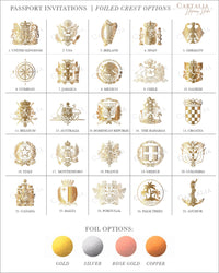 FOLDER Travel Wallet: Luxury Gold Wedding Passport Invite in Pocket & Mirror Tag Passport Invitation Suite