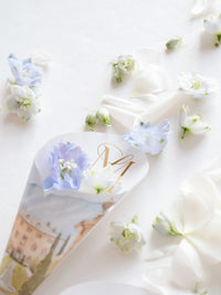 Confetti Cones,  Flower Petal Cones - Bespoke  | Your Venue -  Villa Balbiano, Lake Como