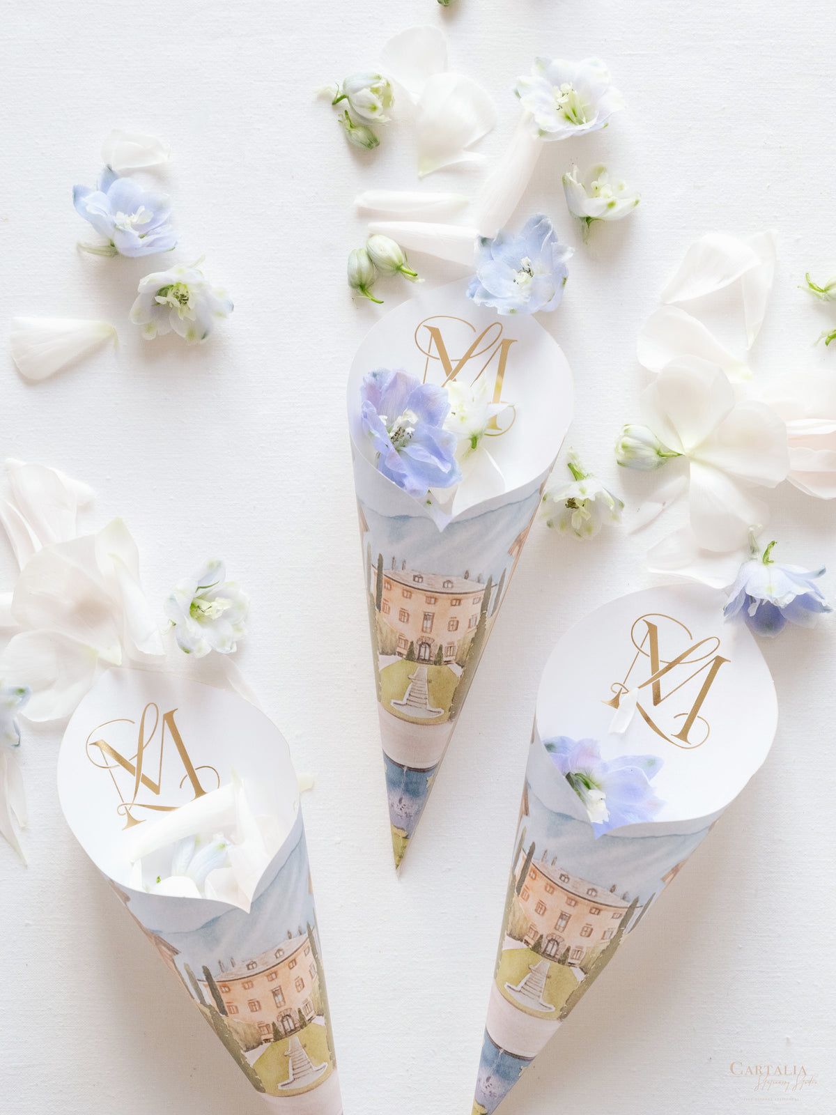 Confetti Cones,  Flower Petal Cones - Bespoke  | Your Venue -  Villa Balbiano, Lake Como