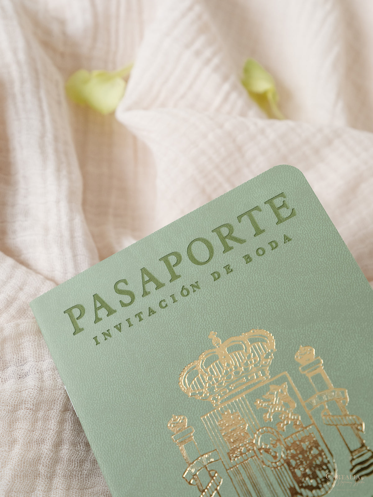 Sage Green Vegan Leather Passport Invitation | Bespoke Commission N&A