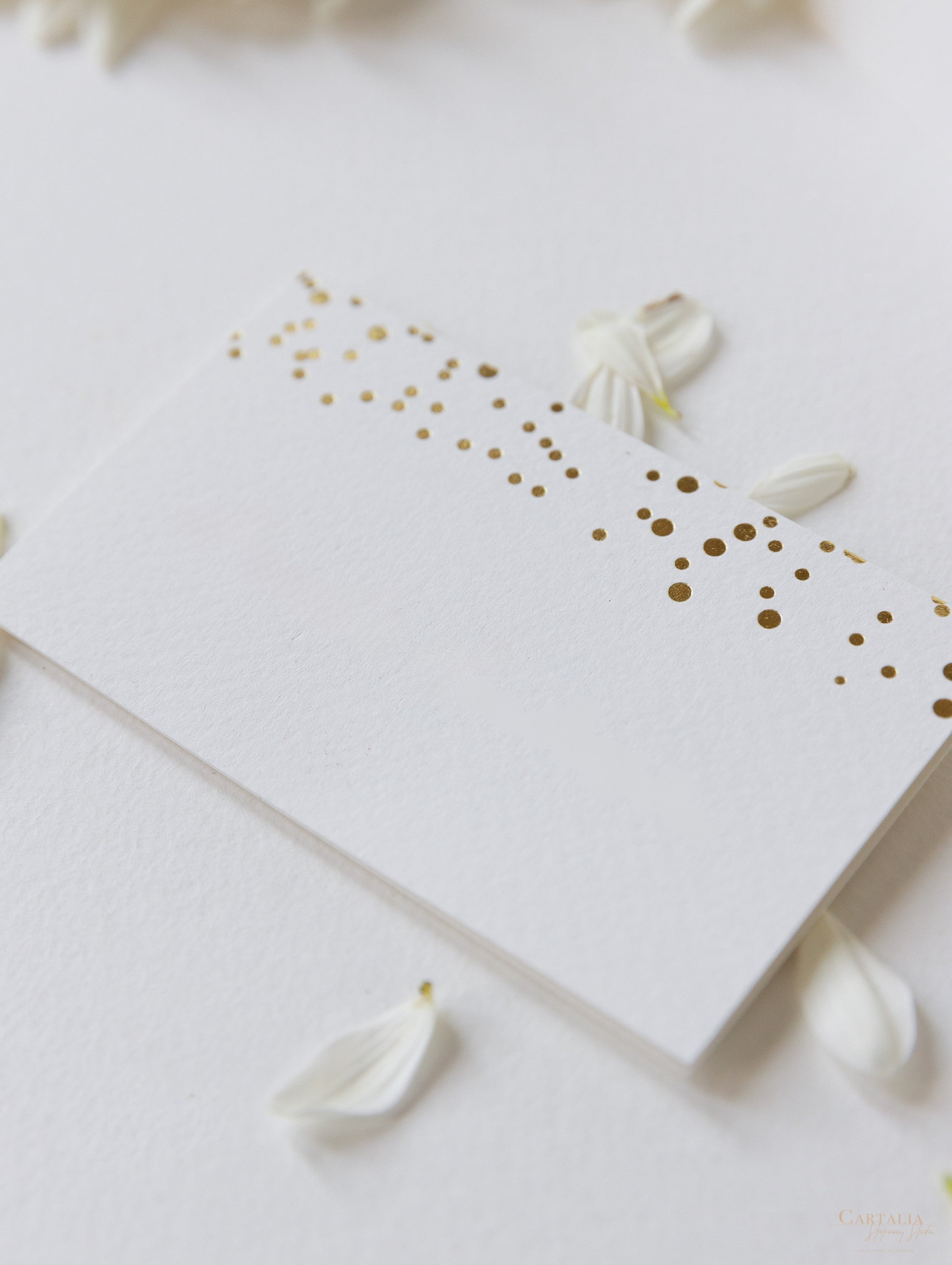 Foil Confetti Dotted Place Card