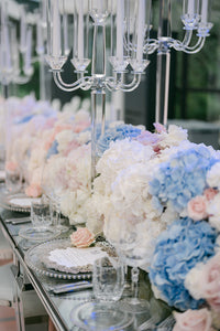 Plate Silver Mirror Menu with Laser-Cut Roses, Florals, and Butterfly | Villa Balbiano, Lake Como Wedding