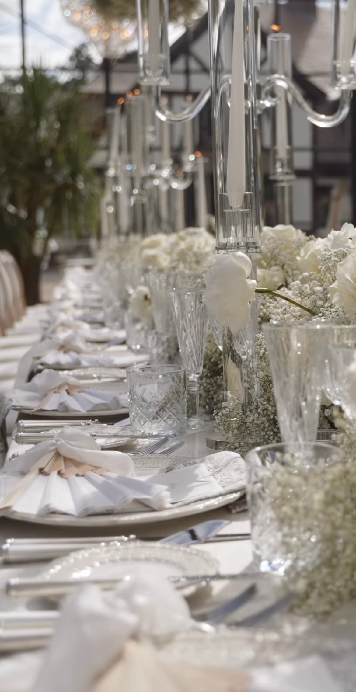 Abanico del programa Regal Wedding Petal, orden de día única, orden de servicio, monograma de lámina de lujo único