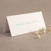 Mint Letterpress Place Card
