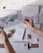 FOLDER Wallet : Luxury Silver Wedding Passport Invite in Pocket & Mirror Plane Tag Passport Invitation Suite