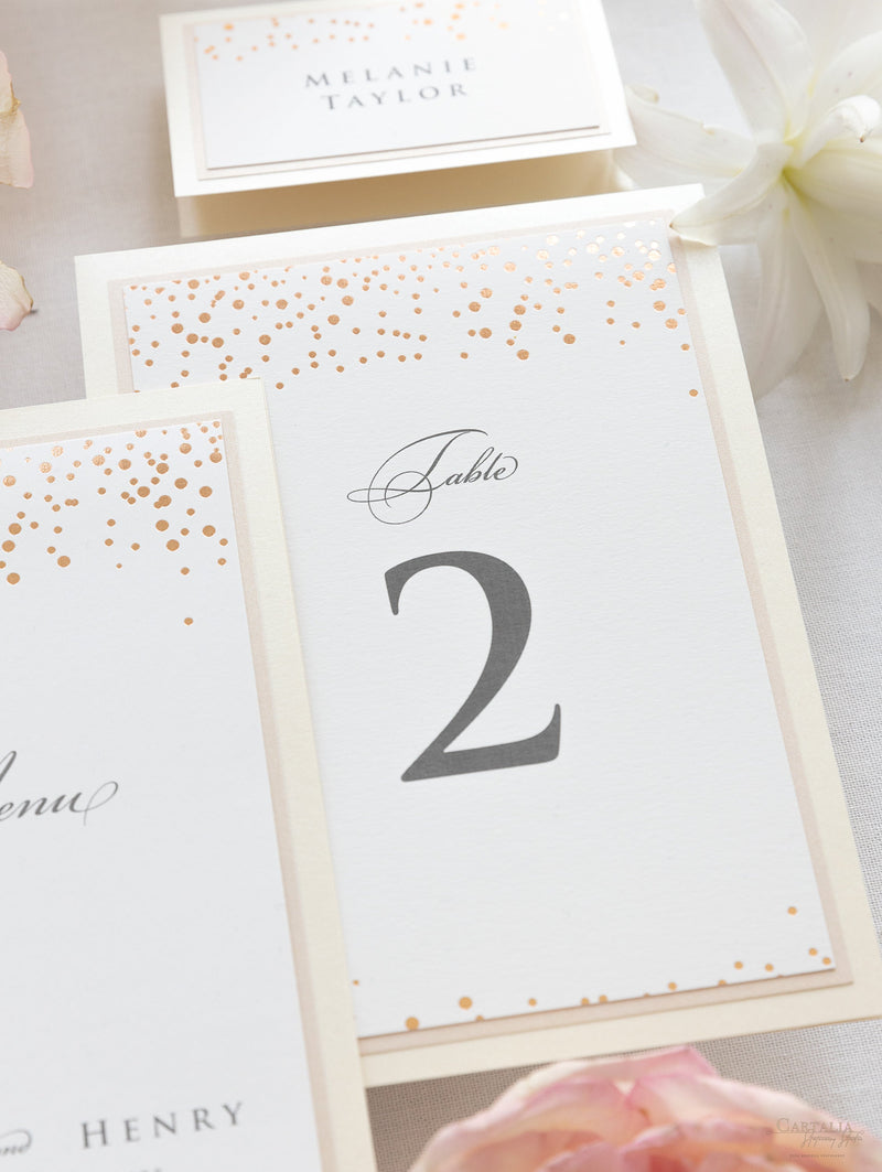 Classic Confetti Table Number & Name in Dusty Pink and Champagne
