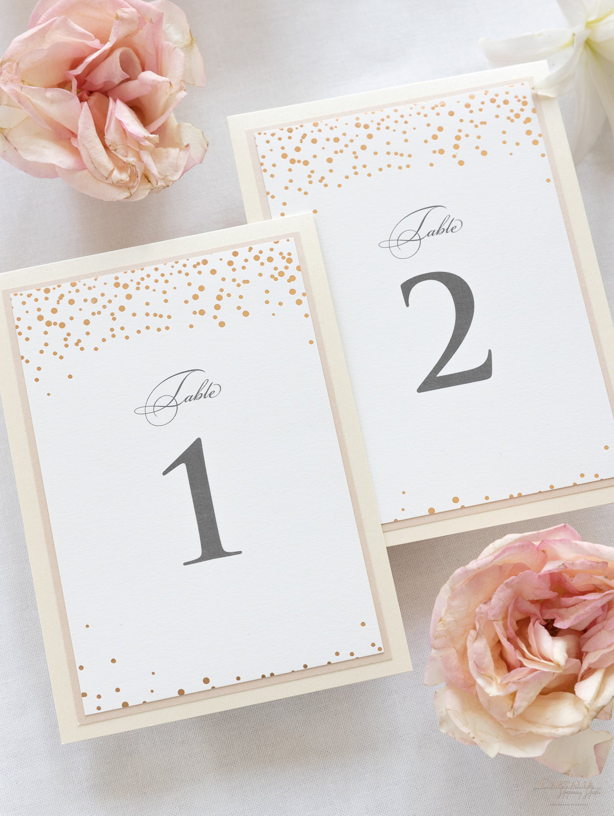 Classic Confetti Table Number & Name in Dusty Pink and Champagne