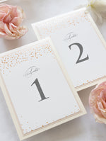 Classic Confetti Table Number & Name in Dusty Pink and Champagne
