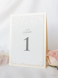 Classic Confetti Table Number & Name in Dusty Pink and Champagne