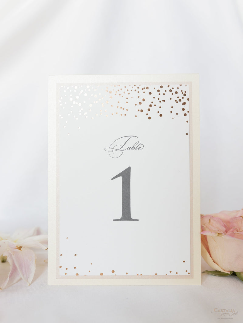 Classic Confetti Table Number & Name in Dusty Pink and Champagne