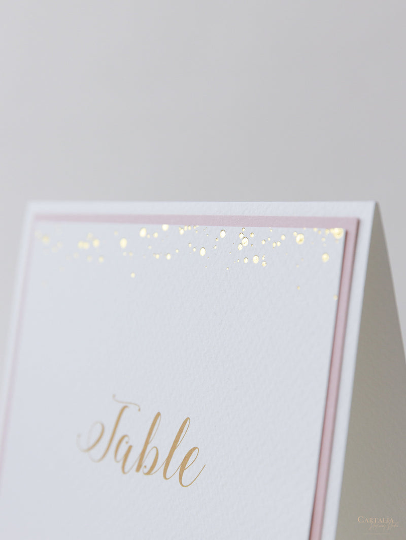 Confetti Dotted Table Number Cards