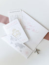 FOLDER Wallet : Luxury Silver Wedding Passport Invite in Pocket & Mirror Plane Tag Passport Invitation Suite