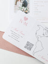 FOLDER Wallet : Luxury Silver Wedding Passport Invite in Pocket & Mirror Plane Tag Passport Invitation Suite