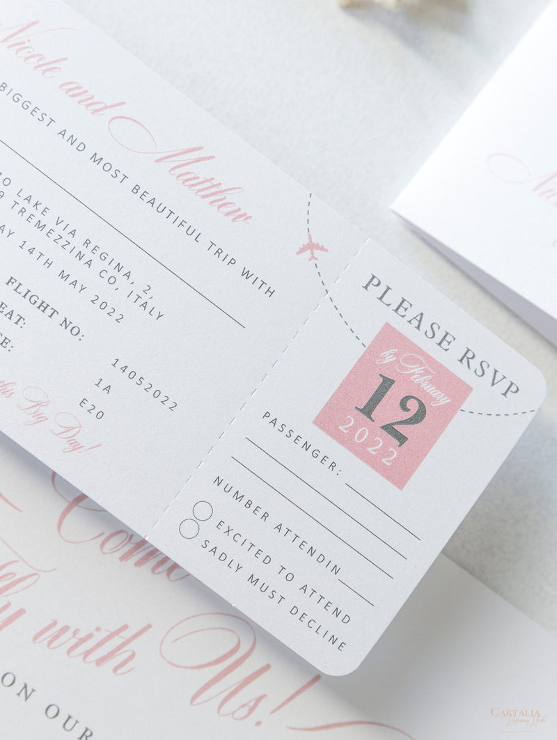 FOLDER Wallet : Luxury Silver Wedding Passport Invite in Pocket & Mirror Plane Tag Passport Invitation Suite
