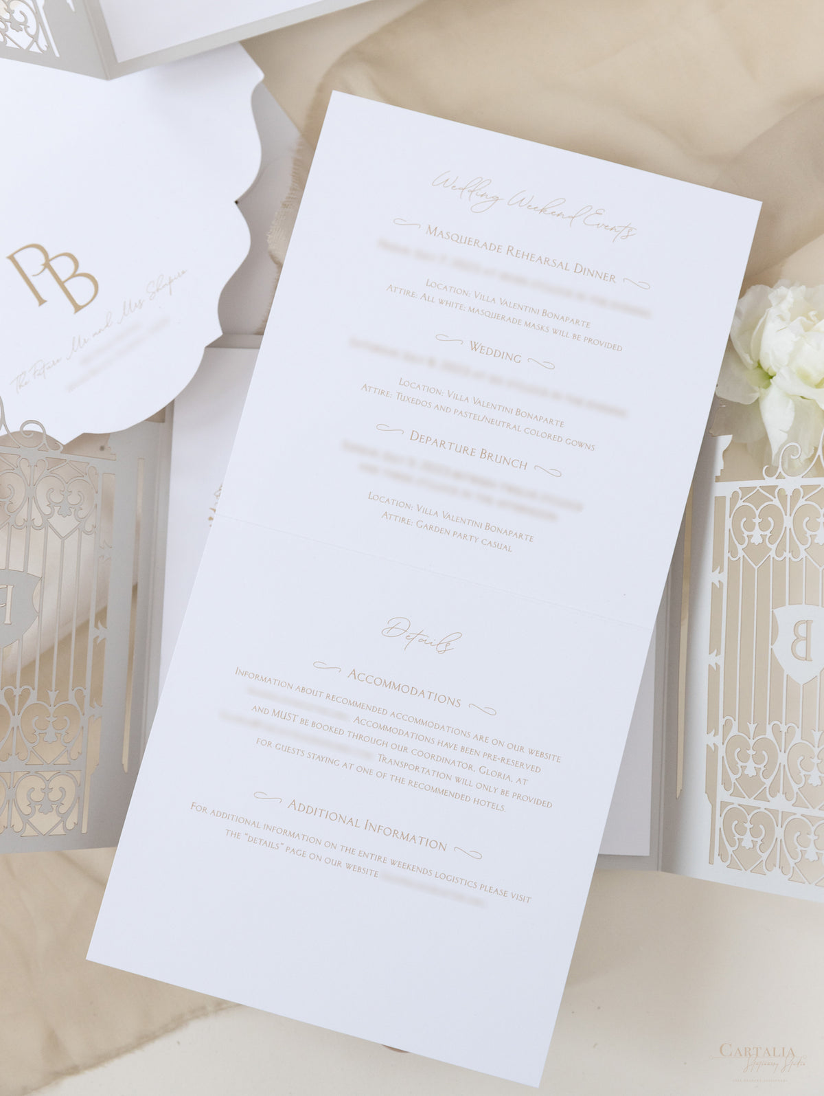 Villa Valentini Bonaparte | Invitación de boda frustrada con puerta ornamental | Comisión personalizada P&amp;B
