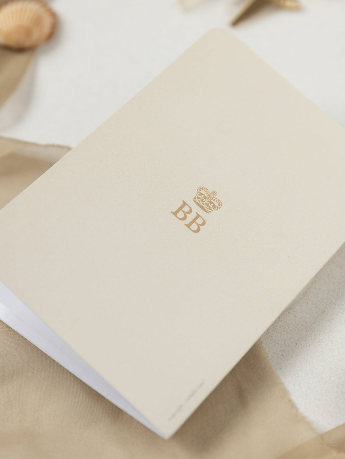 Invitación de boda con pasaporte desnudo y dorado - Avión grabado de lujo en plexi dorado, invitación a palmera