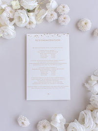 Luxury Royal Gold Foil Confetti Dotted Gold and White Pocket fold Wedding Invitation Suite