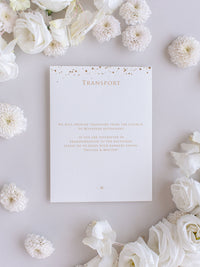 Luxury Royal Gold Foil Confetti Dotted Gold and White Pocket fold Wedding Invitation Suite