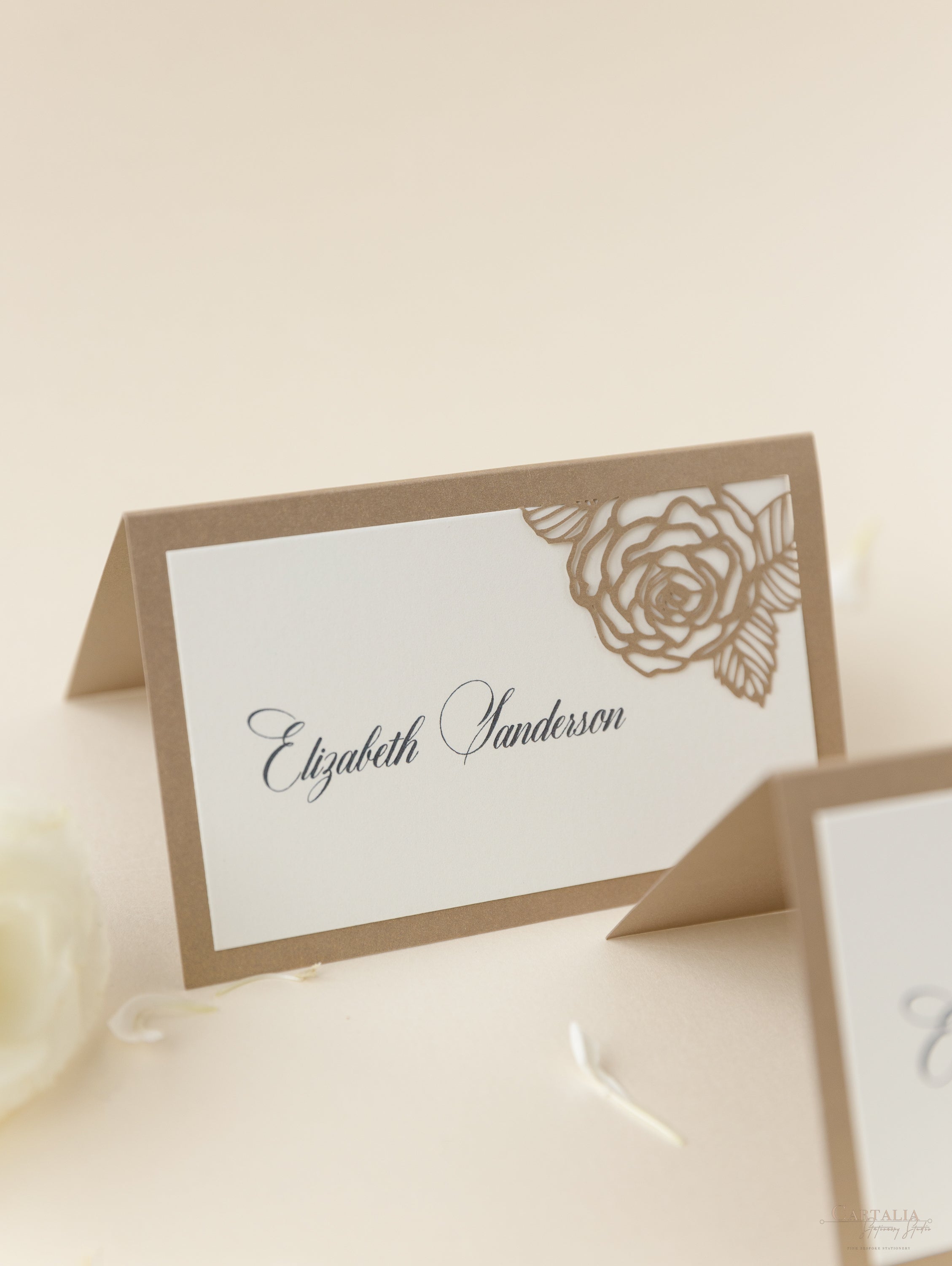 Wedding Place Cards, FREE Guest Name Printing