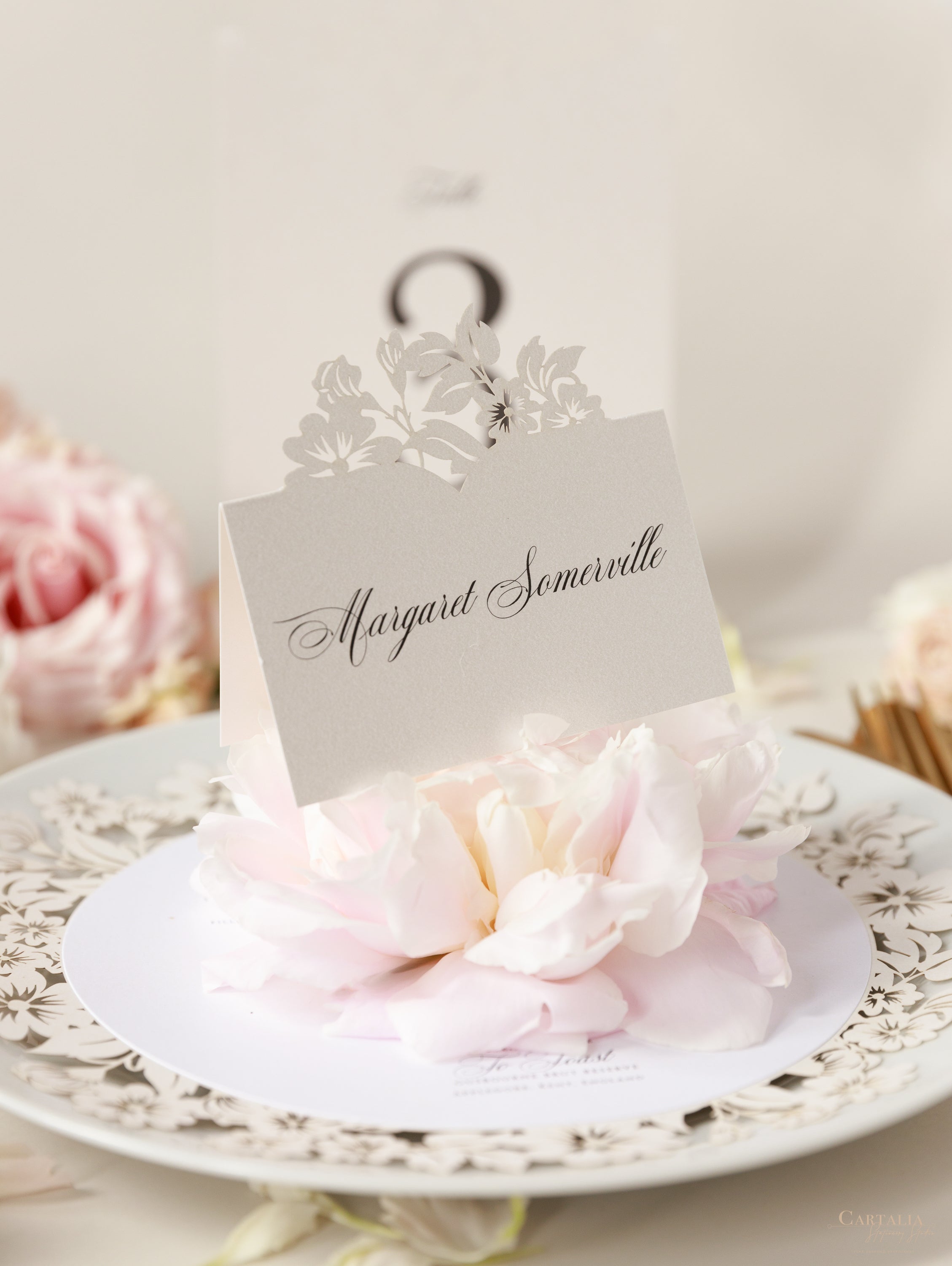 Place Cards Cartalia